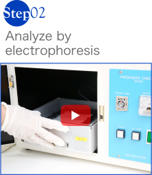 Analyze by electrophoresis