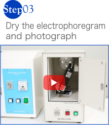 Dry the electrophoregram and photograph