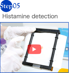 Histamine detection